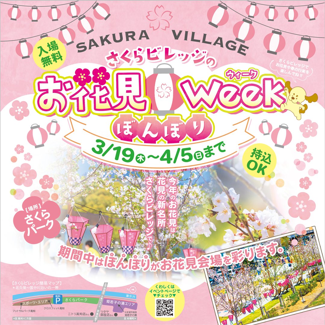 お花見ぼんぼりWeek.jpg